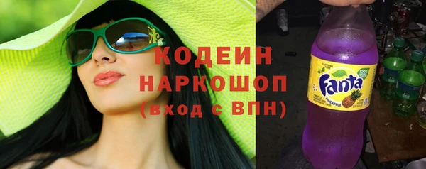 амф Грязовец